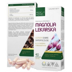 Magnolia Lekarska na SEN...